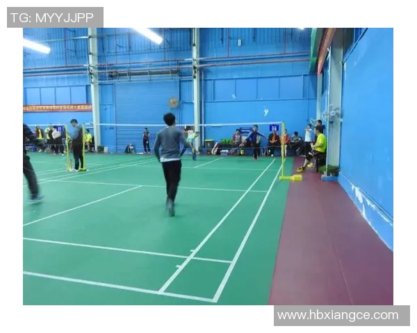 羽毛球专题：深入探讨北京羽毛球队的团队协作与默契配合之道